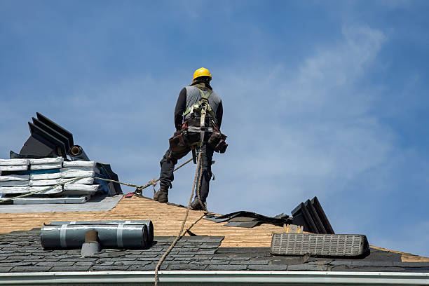 Professional Roof Repair technician working in Reno, OH